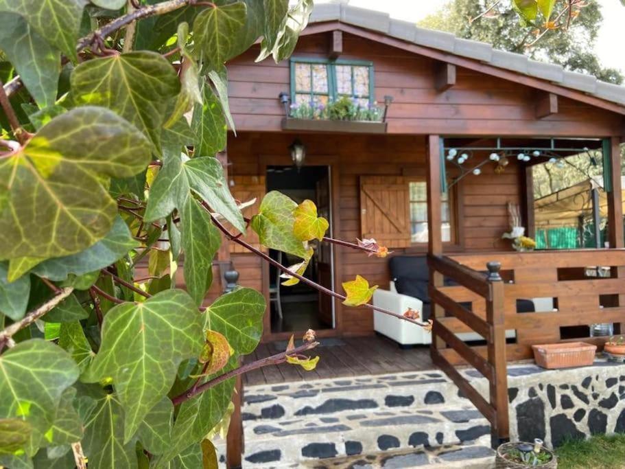 Desconexion Y Paz, Cabana En La Sierra Albalate De Zorita Extérieur photo