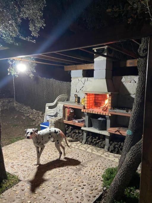 Desconexion Y Paz, Cabana En La Sierra Albalate De Zorita Extérieur photo