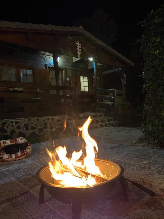 Desconexion Y Paz, Cabana En La Sierra Albalate De Zorita Extérieur photo